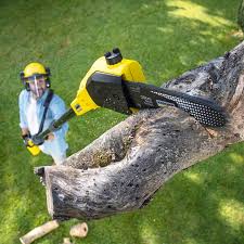 Best Sod Installation  in Watauga, TX